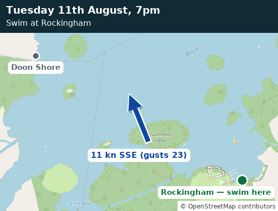 Map of Lough Key showing the wind at swim time and the recommended entry point
